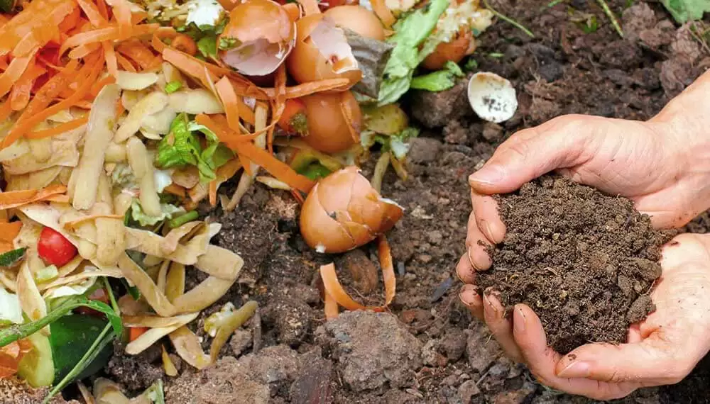 Terra compostaje regenerativo